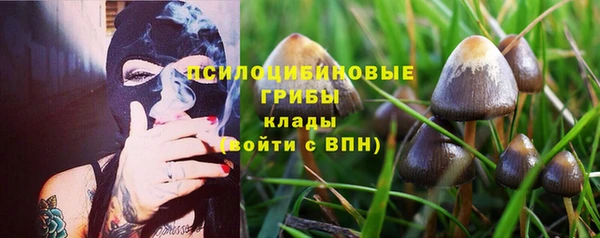не бодяженный Волоколамск