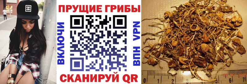 Псилоцибиновые грибы прущие грибы  Карасук 